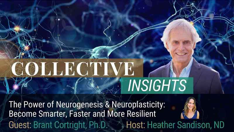 Interview: The Science of Brain Neurogenesis – Brant Cortright PhD Featured Image