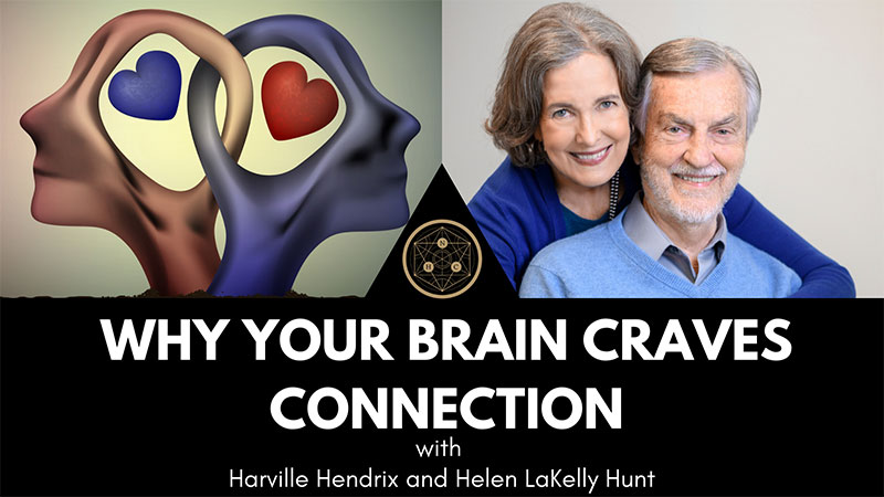 Why Your Brain Craves Connection Featured Image