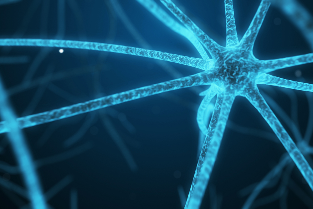 I’ve been studying the brain for 15 years—I take these 5 supplements every day for sharper memory Featured Image