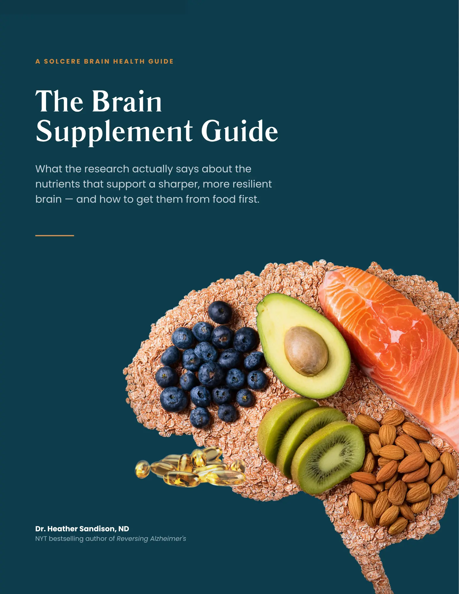 Brain Supplement Guide Featured Image